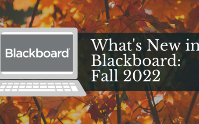 What’s New In Blackboard This Fall
