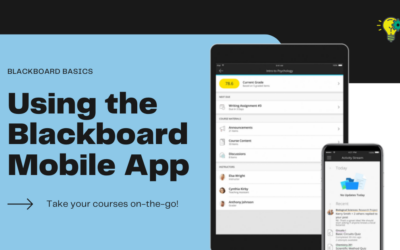 Blackboard Basics: Using the Blackboard Mobile App